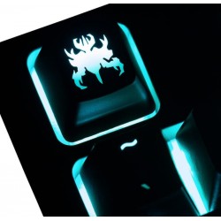 Nevermore ABS Backlit Keycap